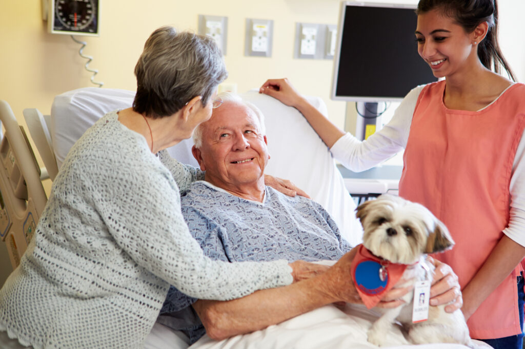 Pet Therapy Dog With Handler Visiting Senior Male Patient In Hospital